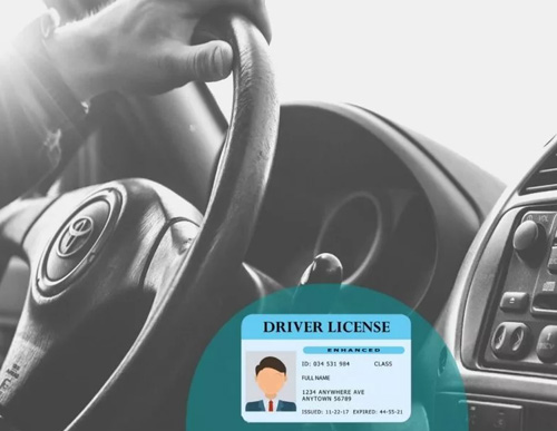 گواهینامه پایه یک