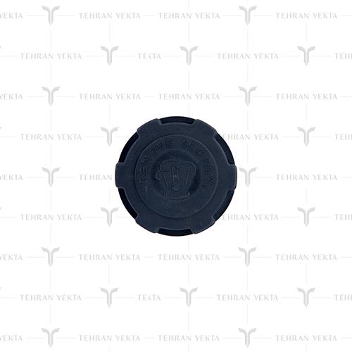 درب رادیات اسکانیا